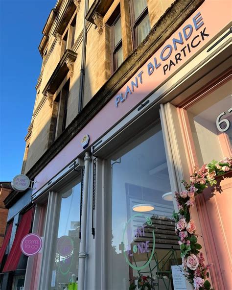 plant blonde|The story of Plant Blonde, Glasgow's new vegan cafe .